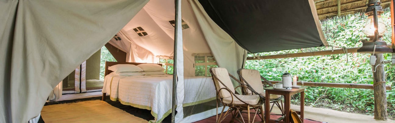 Tiger Tops Tharu Lodge Hotel Chitwan National Park Chitwan National Park Smith Hotels Get the best deals on tiger shoes and save up to 70% off at poshmark now! tiger tops tharu lodge chitwan national park nepal