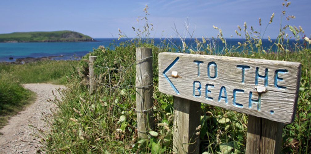 Search Trebetherick Beach for shells