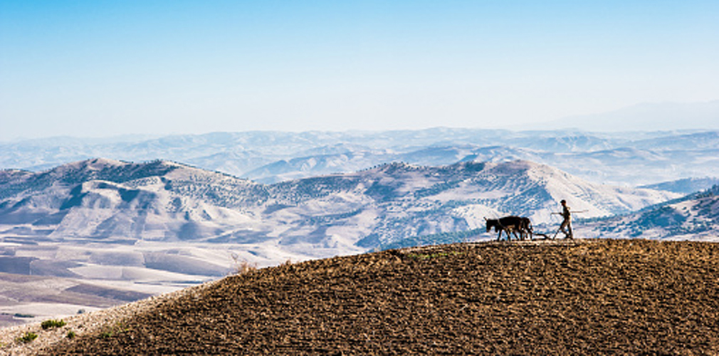 Trek the Atlas Mountains with a guide