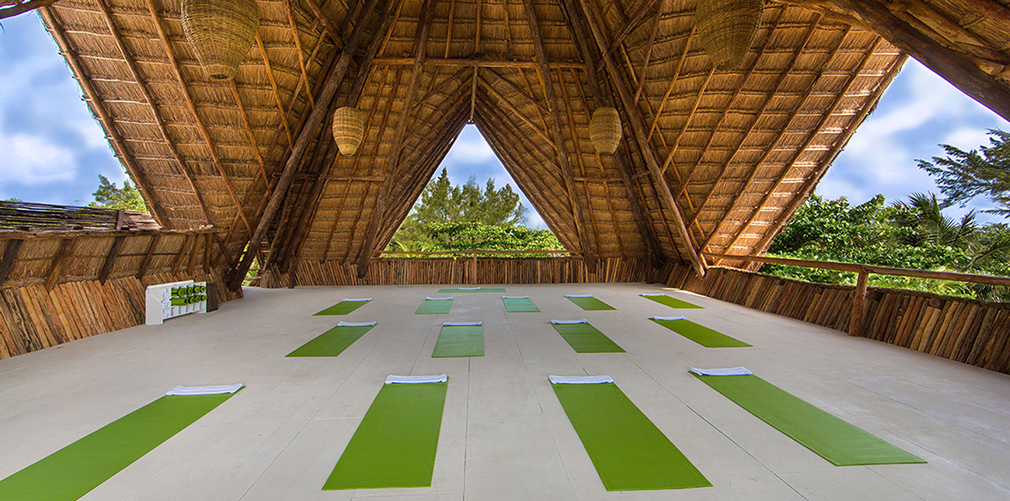 Sun saluting in a treetop yoga session