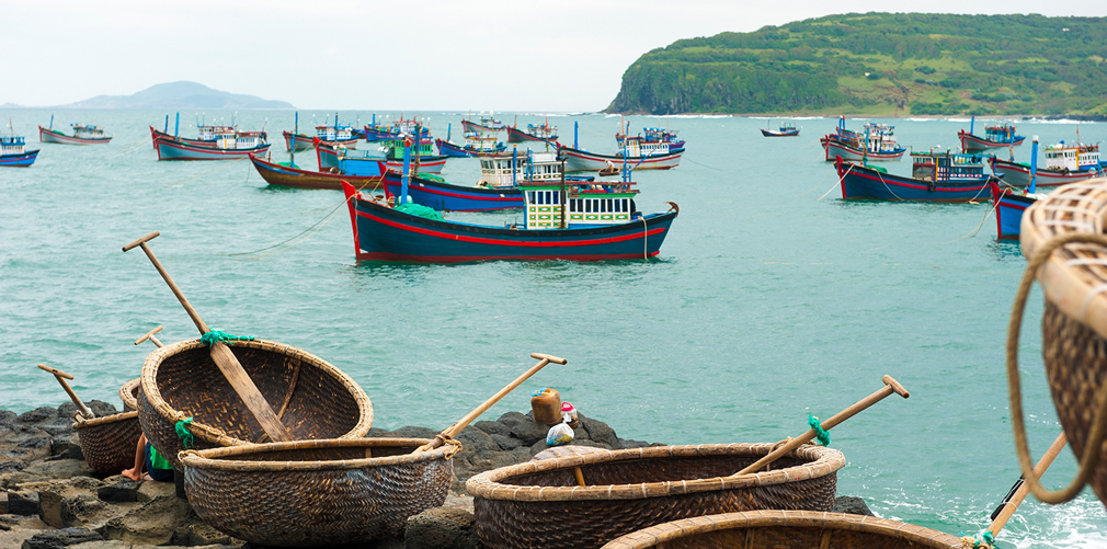 Sample lobster from Nha Trang Bay